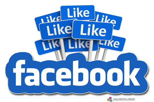 Purchase facebook page likes